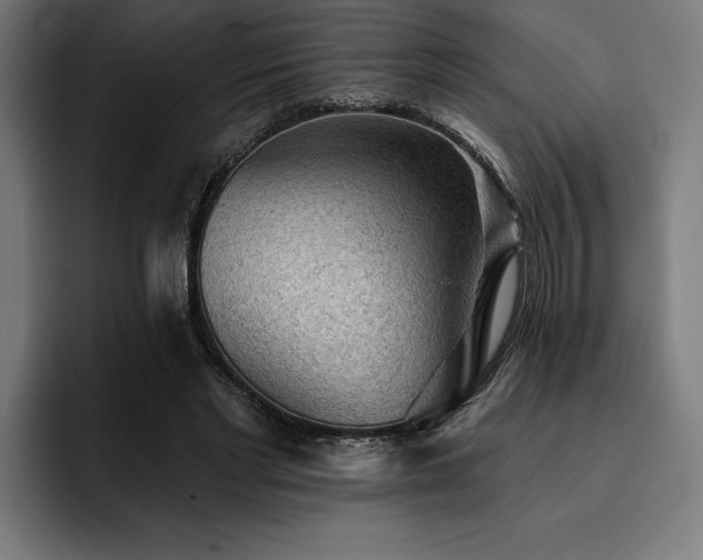 X0000093420493200710121146