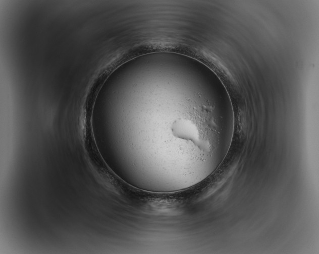 X0000093420494200710121146