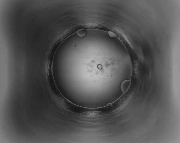 X0000093420495200710121146