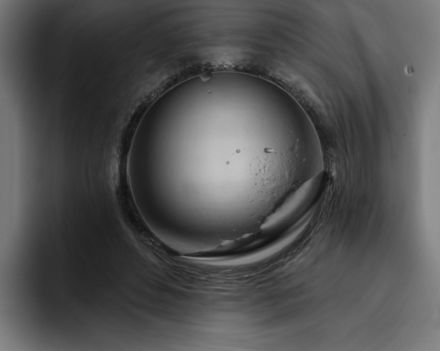 X0000093420496200710121146