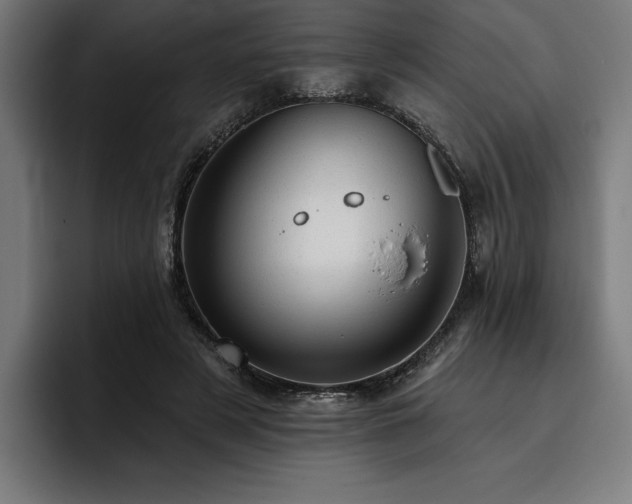 X0000093420497200710121146