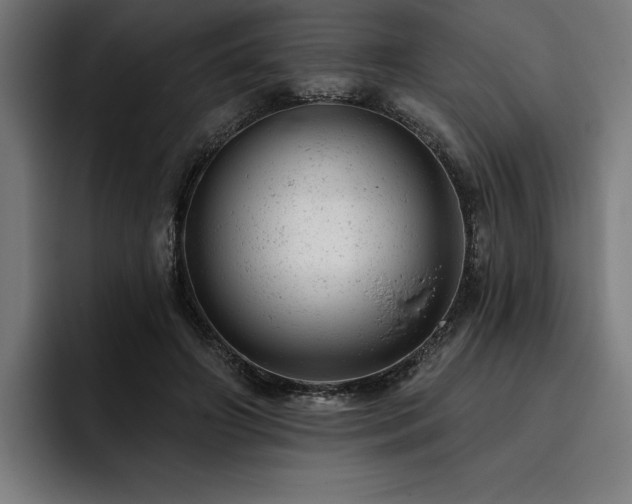 X0000093420498200710121146