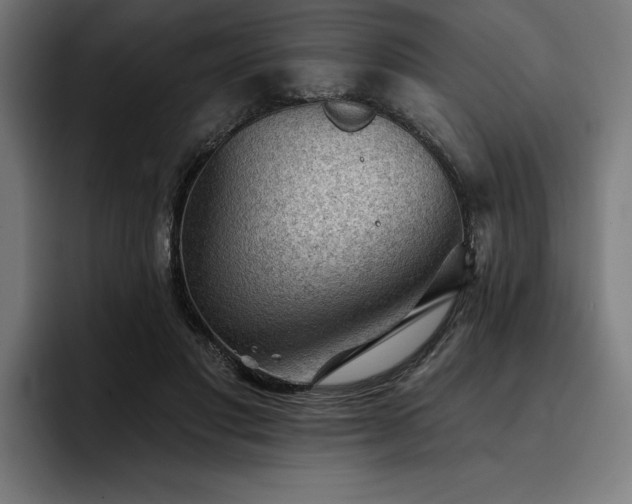 X0000093420501200710121146