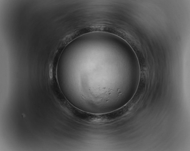 X0000093420504200710121146