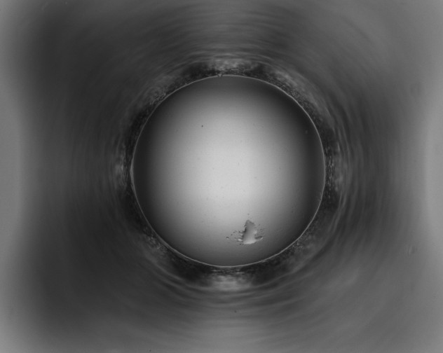 X0000093420510200710121146