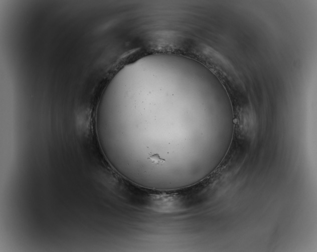 X0000093420511200710121146