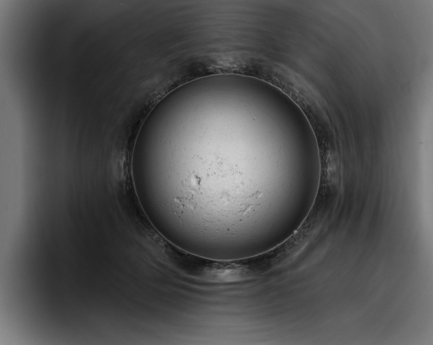 X0000093420514200710121146