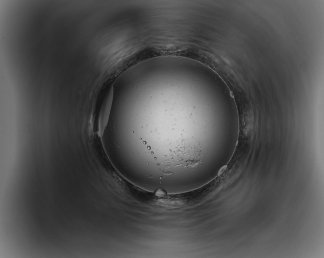 X0000093420515200710121146