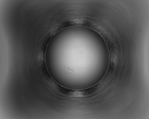 X0000093420518200710121146