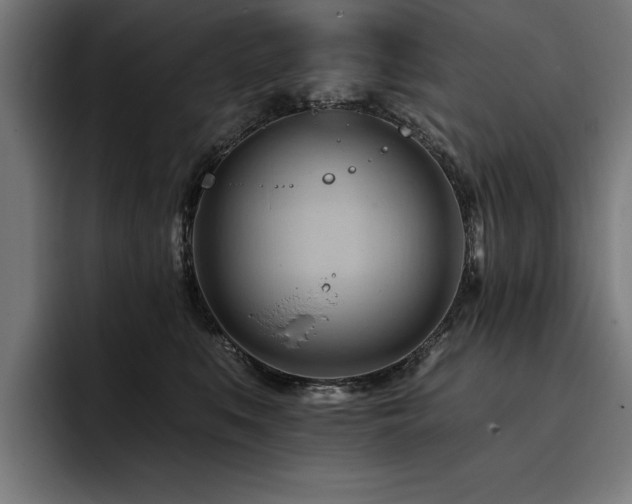 X0000093420519200710121146