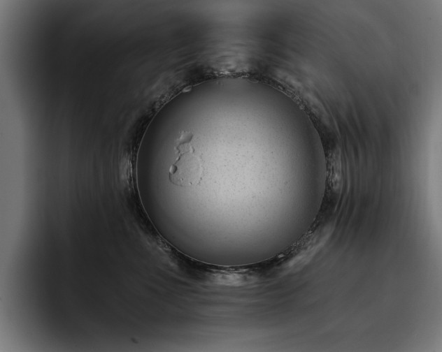 X0000093420523200710121146