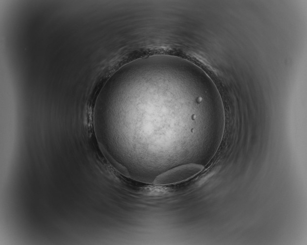 X0000093420528200710121145