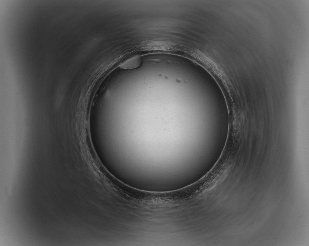 X0000093420529200710121145