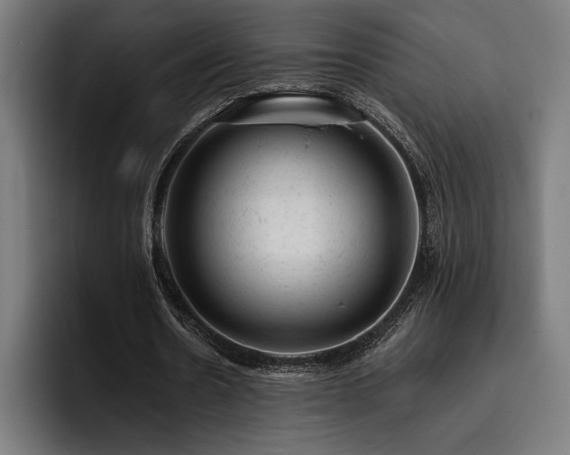 X0000093420530200710121145