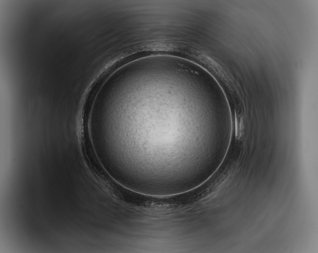 X0000093420531200710121145