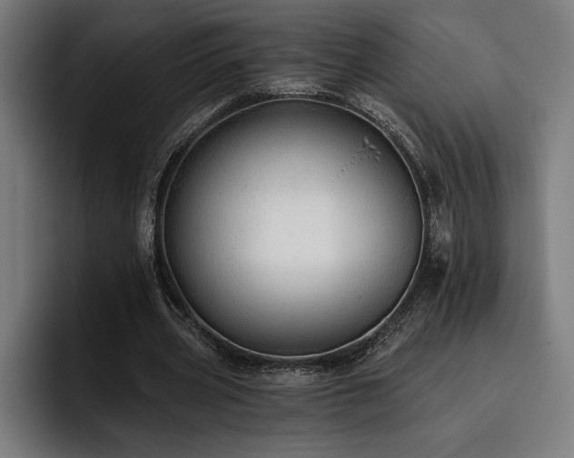X0000093420533200710121145