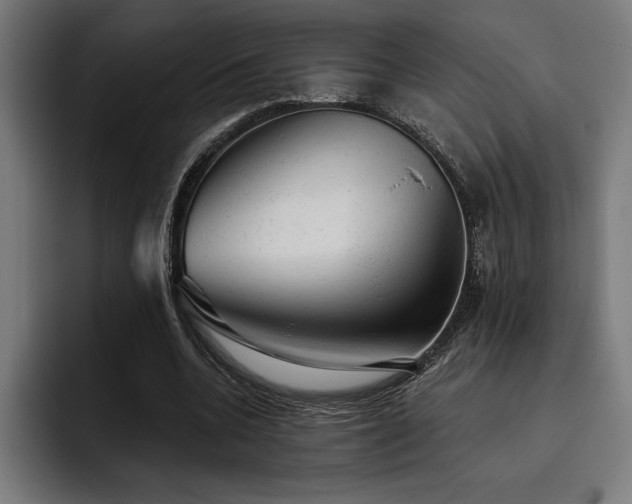 X0000093420536200710121145
