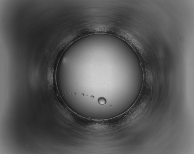 X0000093420537200710121145