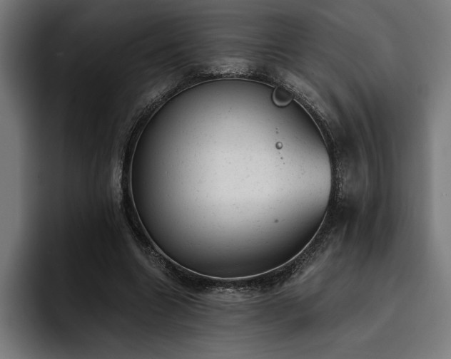 X0000093420538200710121145