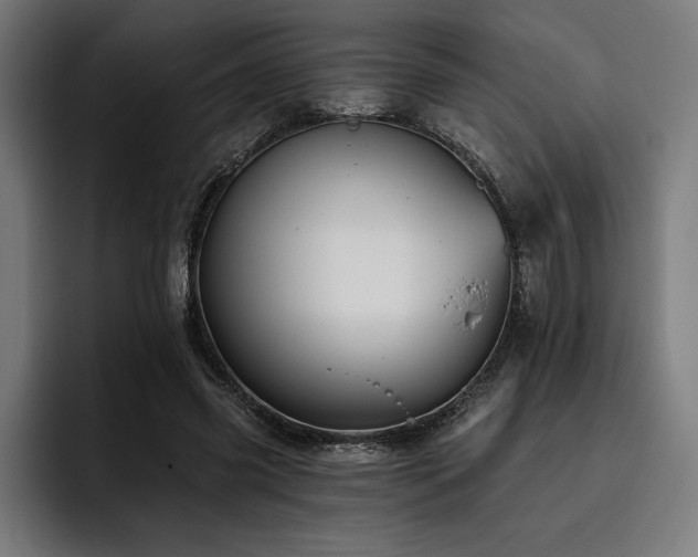 X0000093420541200710121145