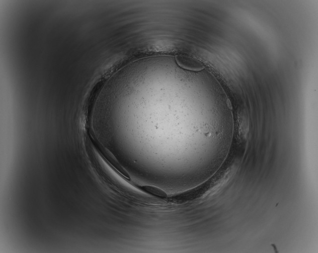 X0000093420542200710121145