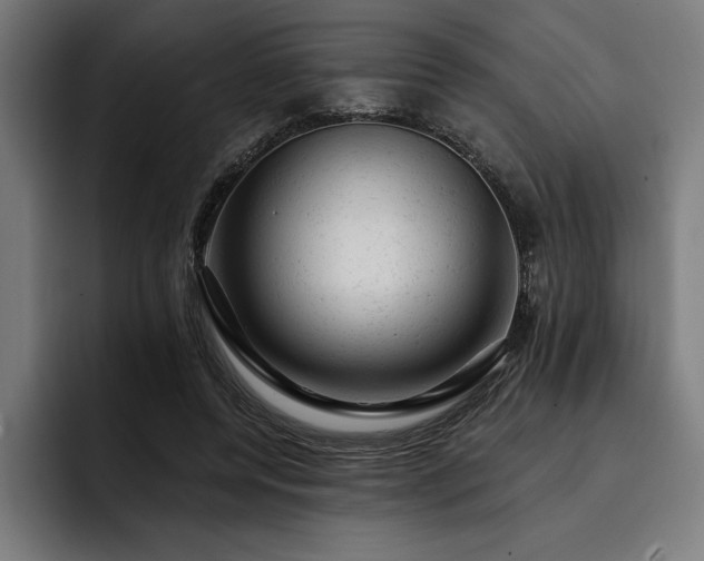 X0000093420544200710121145