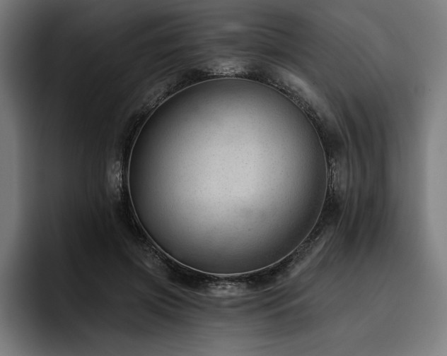 X0000093420549200710121145