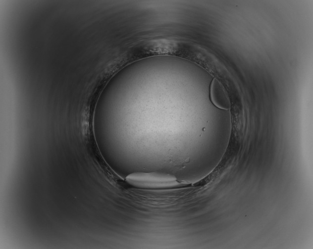 X0000093420553200710121145