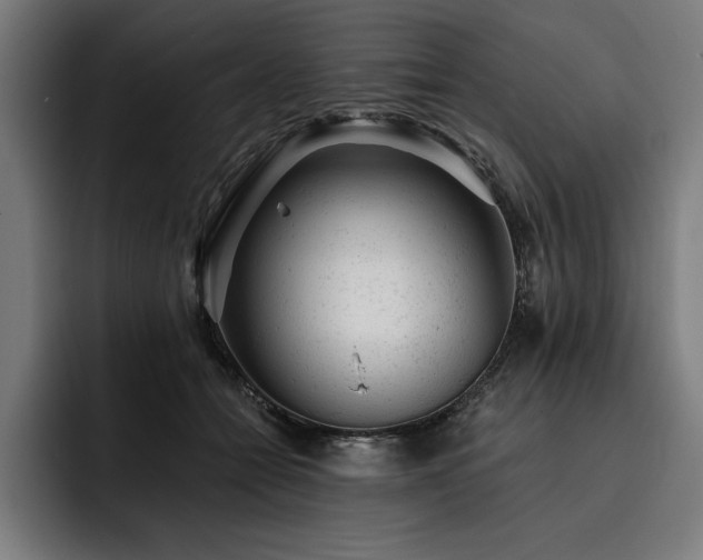 X0000093420558200710121145