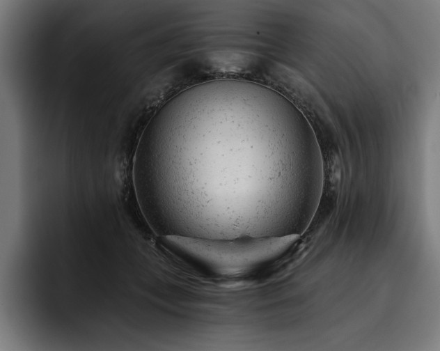 X0000093420559200710121145