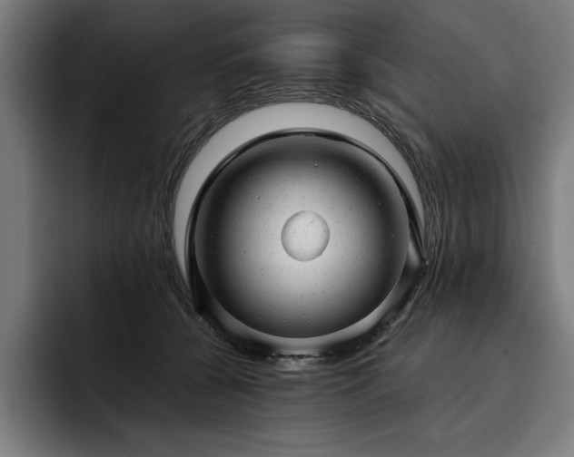 X0000093420560200710121145