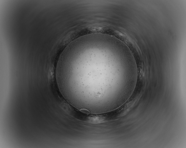 X0000093420561200710121145