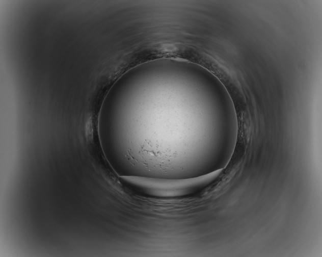 X0000093420562200710121145