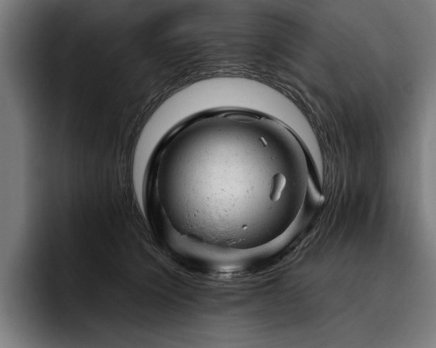 X0000093420564200710121145