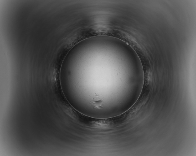 X0000093420567200710121145