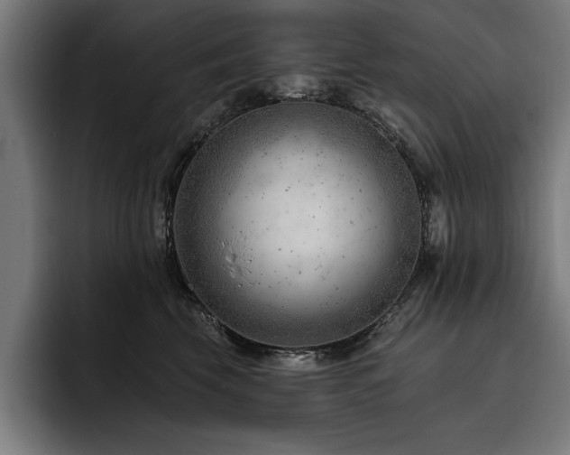 X0000093420569200710121145