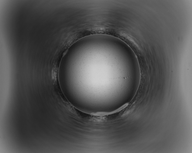 X0000093420576200710121145