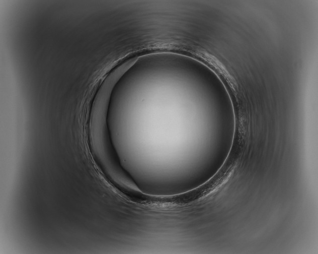 X0000093420577200710121145
