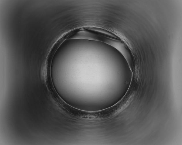X0000093420580200710121145