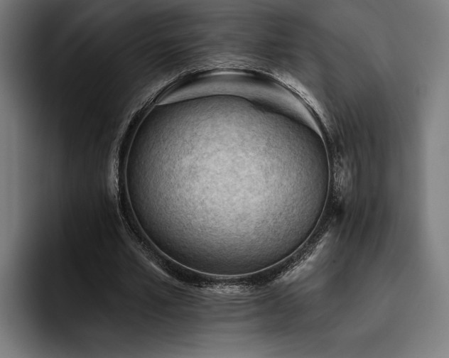 X0000093420581200710121145