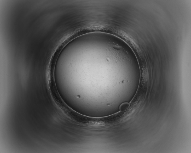 X0000093420582200710121145