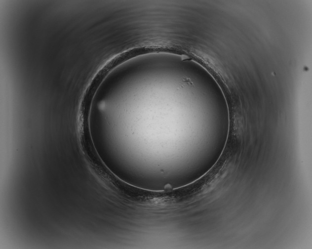 X0000093420584200710121145