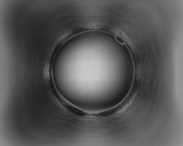 X0000093420585200710121145