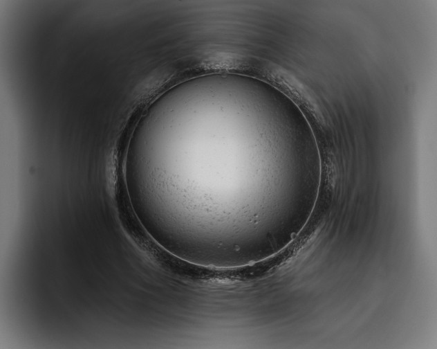 X0000093420586200710121145