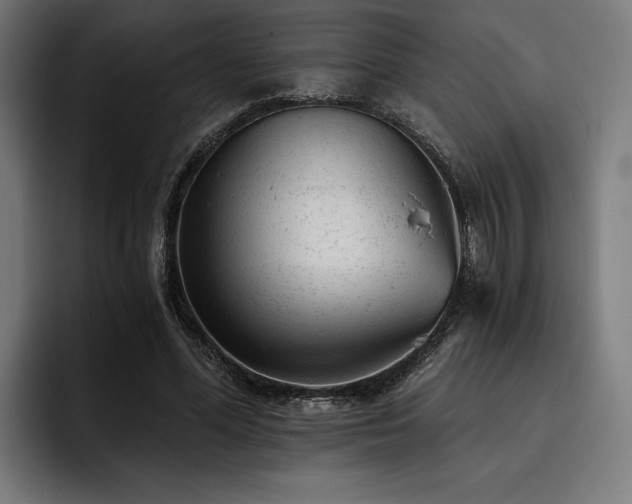 X0000093420588200710121145