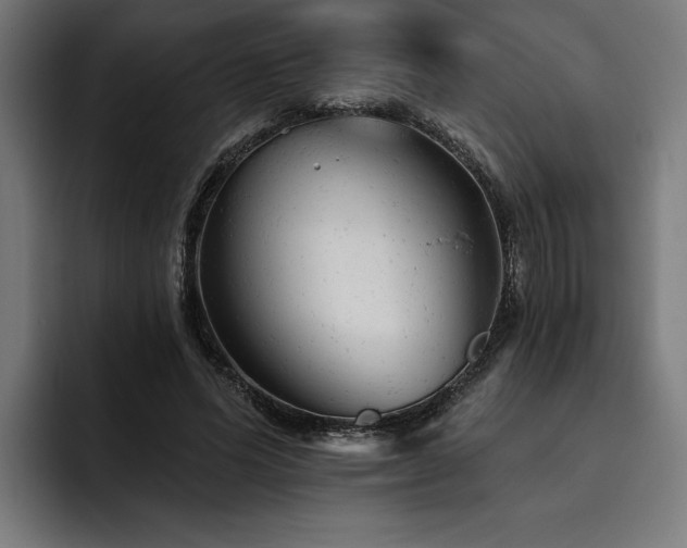 X0000093420591200710121145
