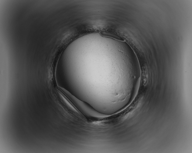 X0000093420593200710121145