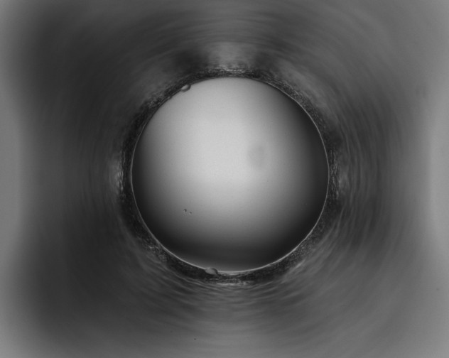 X0000093420595200710121145