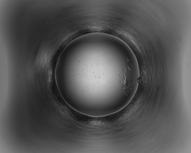 X0000093420596200710121145