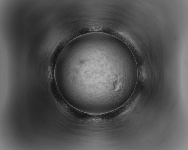 X0000093420598200710121145